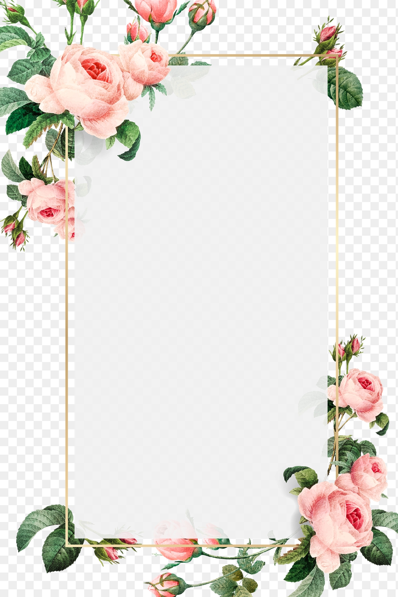Download Pink cabbage rose pattern on a gold frame design element ...
