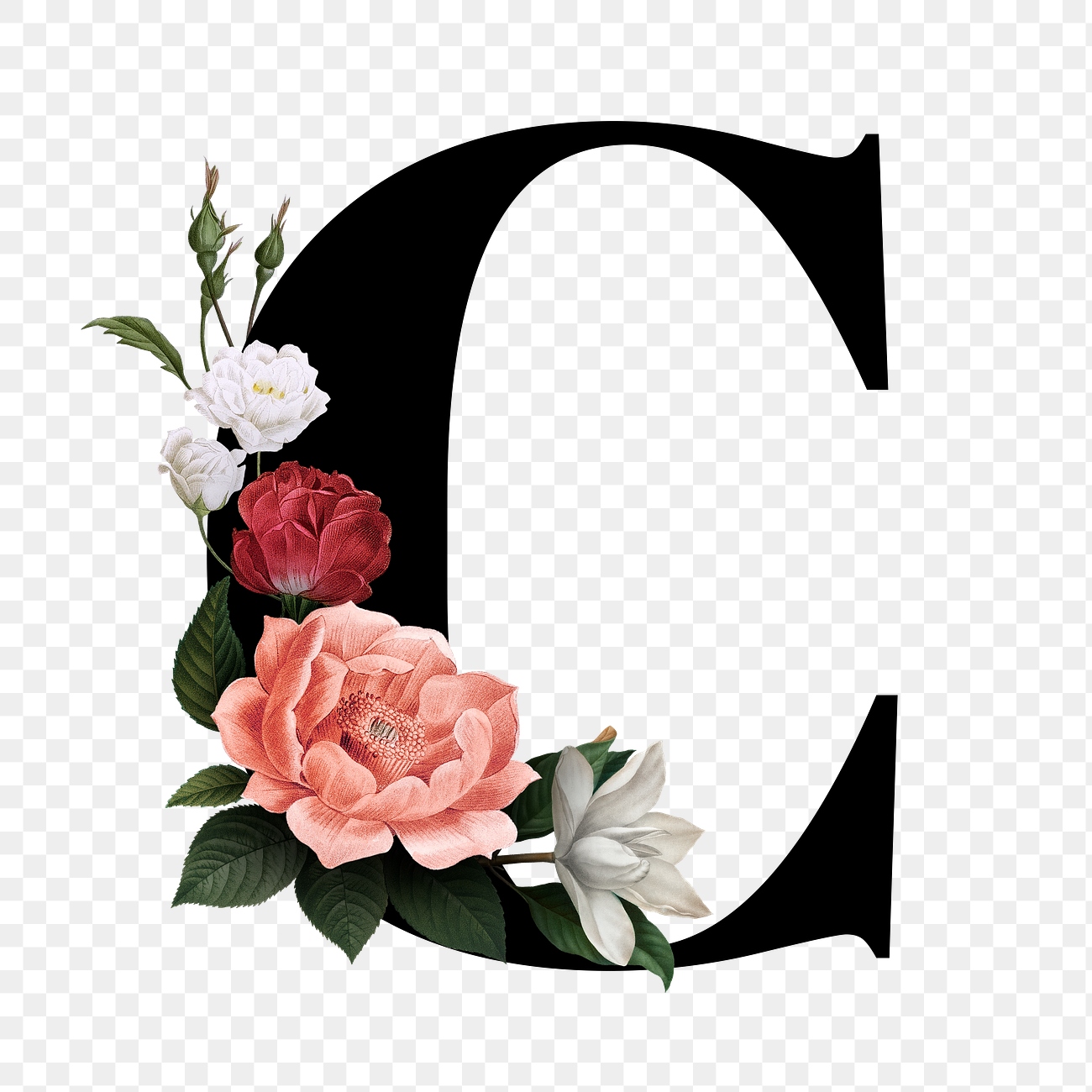 Floral letter C font Free stock illustration High Resolution graphic