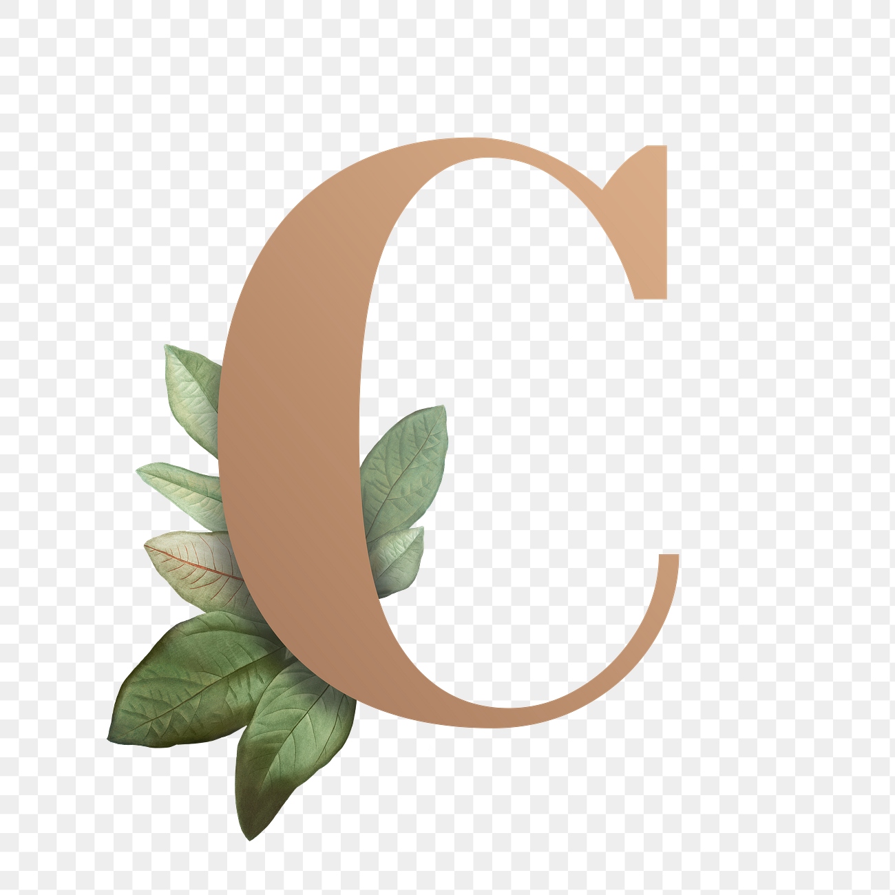 Botanical font letter C | Free stock illustration | High Resolution graphic