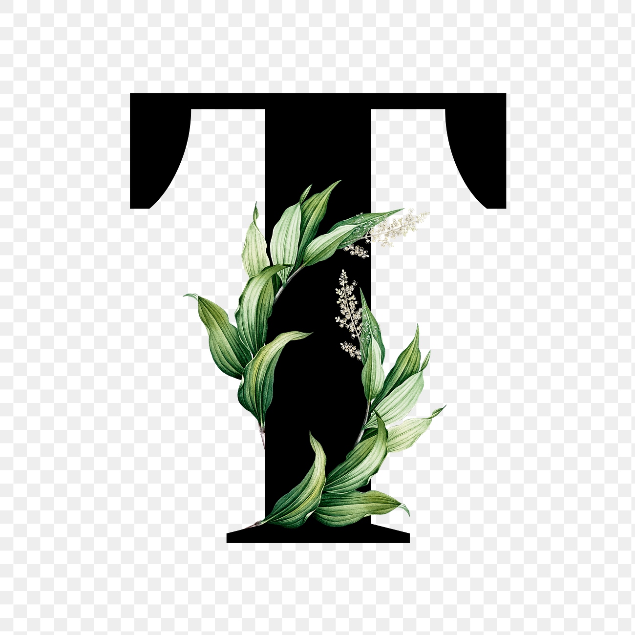 Botanical font letter T | Free stock illustration | High Resolution graphic