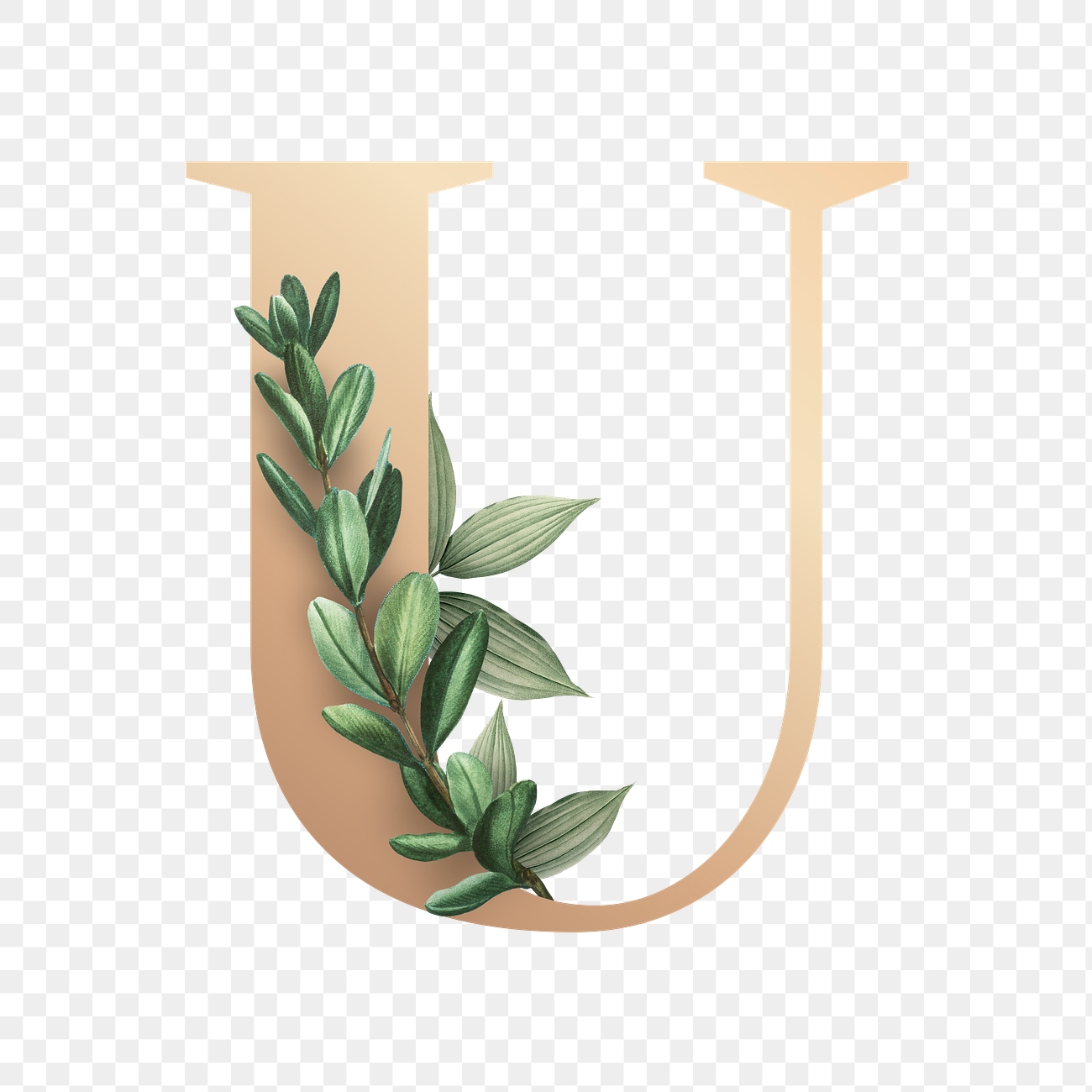 botanical-font-letter-u