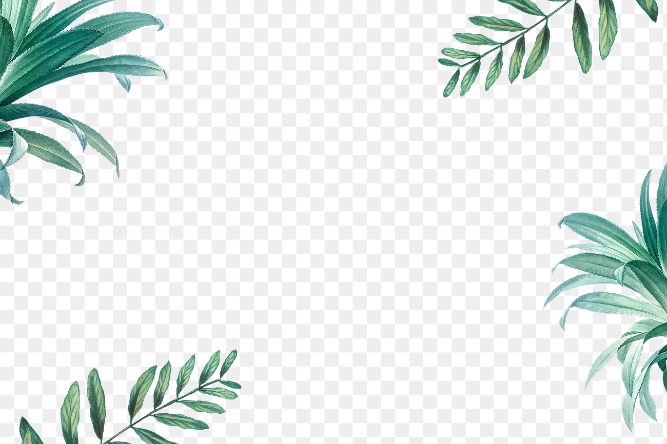 Hand drawn tropical leaves on a white | Free PNG Sticker - rawpixel