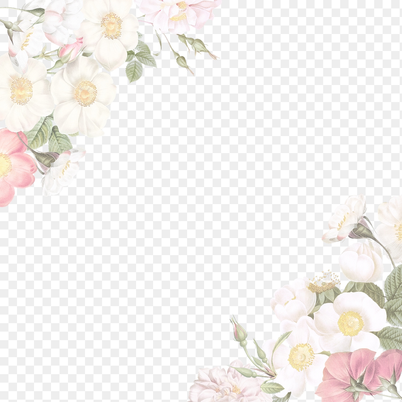 Feminine flowers border | Free stock illustration | High Resolution graphic