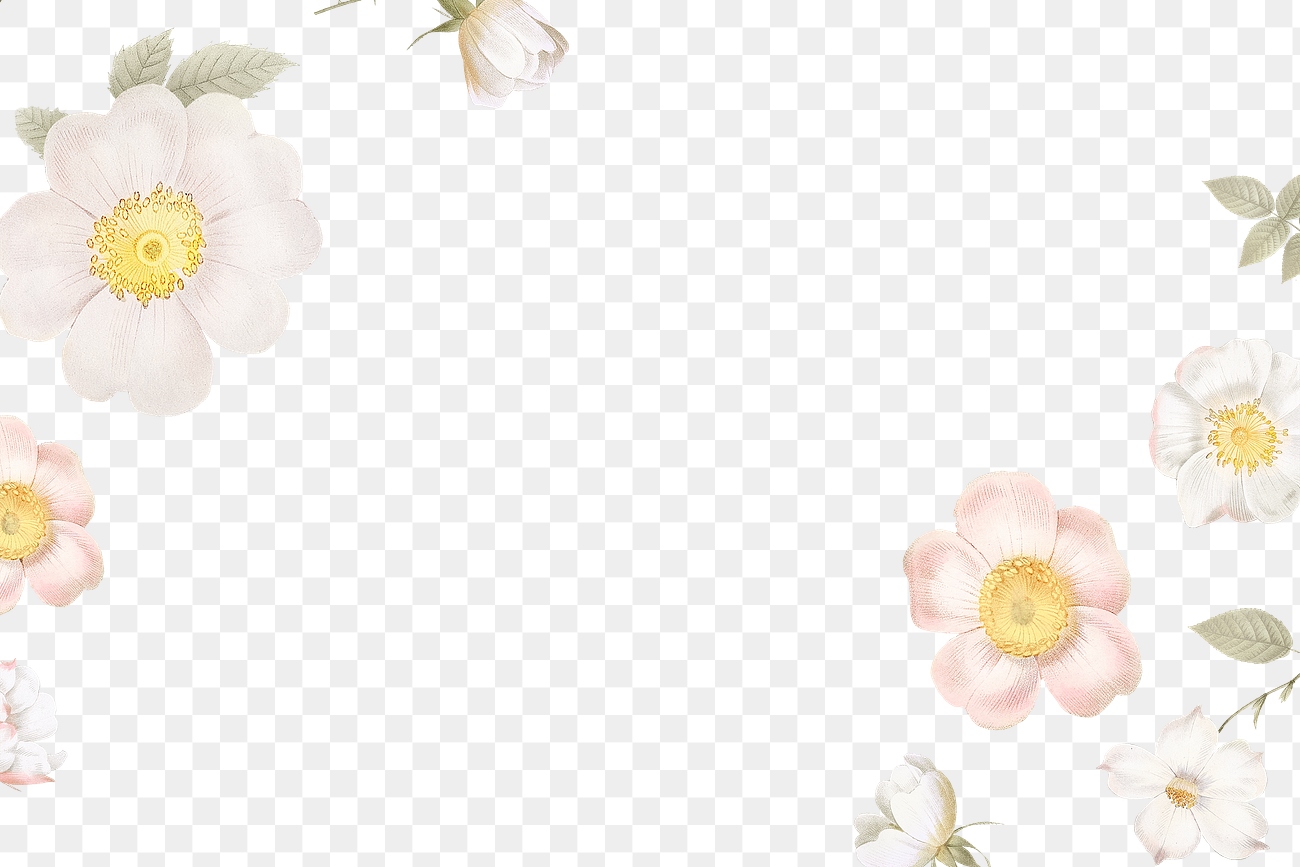  Feminine  flowers border 