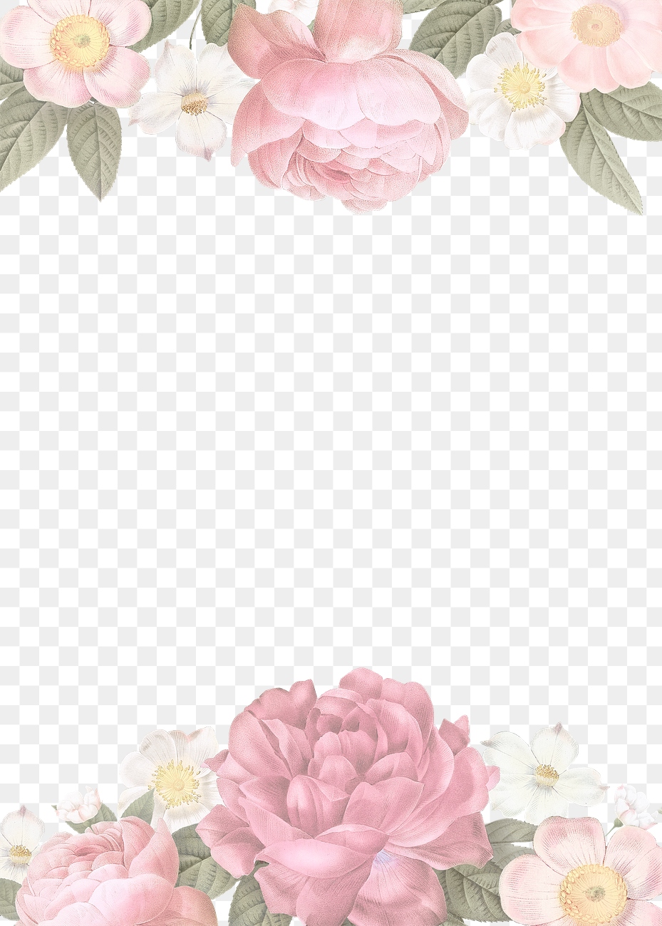  Feminine  flowers border  Royalty free  stock transparent 