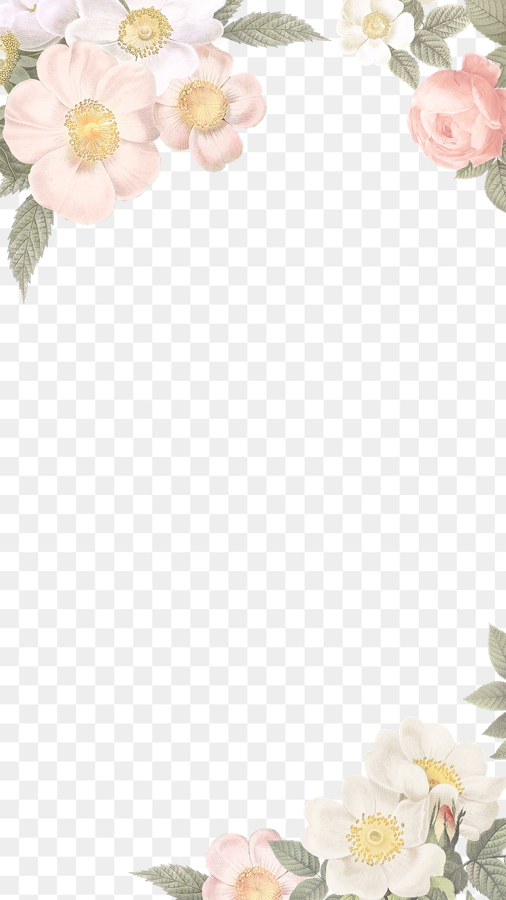  Feminine  flowers border  Royalty free  stock transparent 