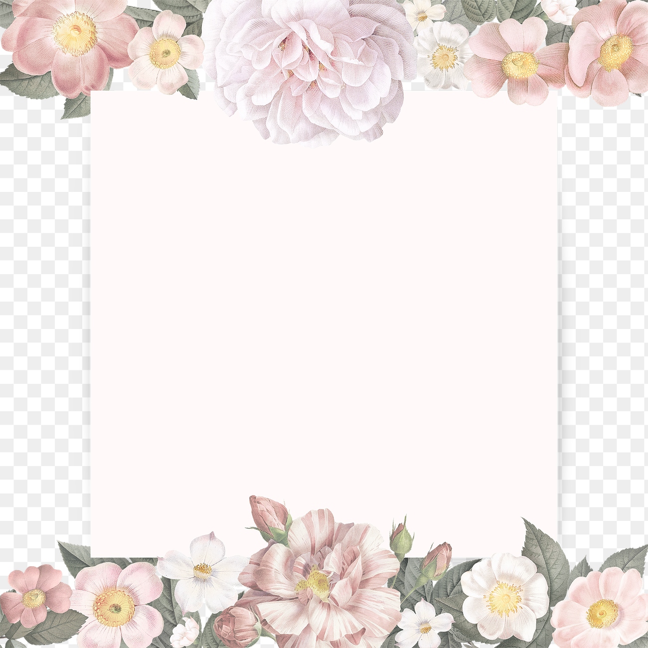 Feminine flowers border | Free stock illustration | High Resolution graphic