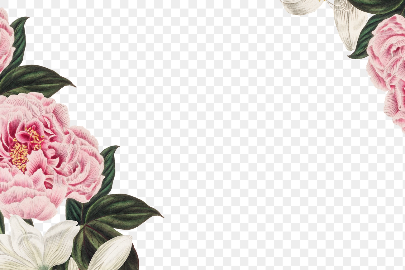 Vintage pink peony flower frame | Free PNG Sticker - rawpixel