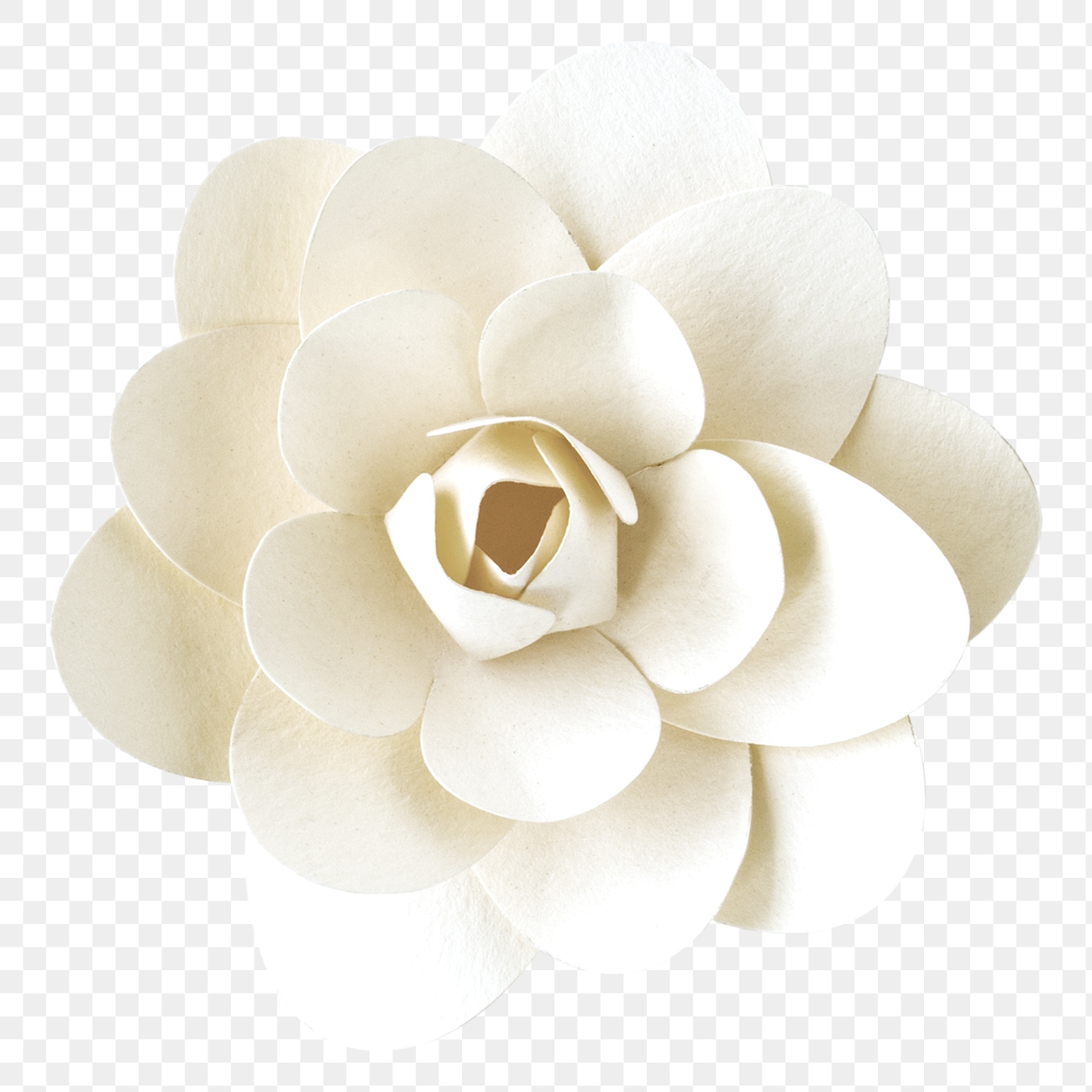 White camellia png paper craft | Premium PNG Sticker - rawpixel