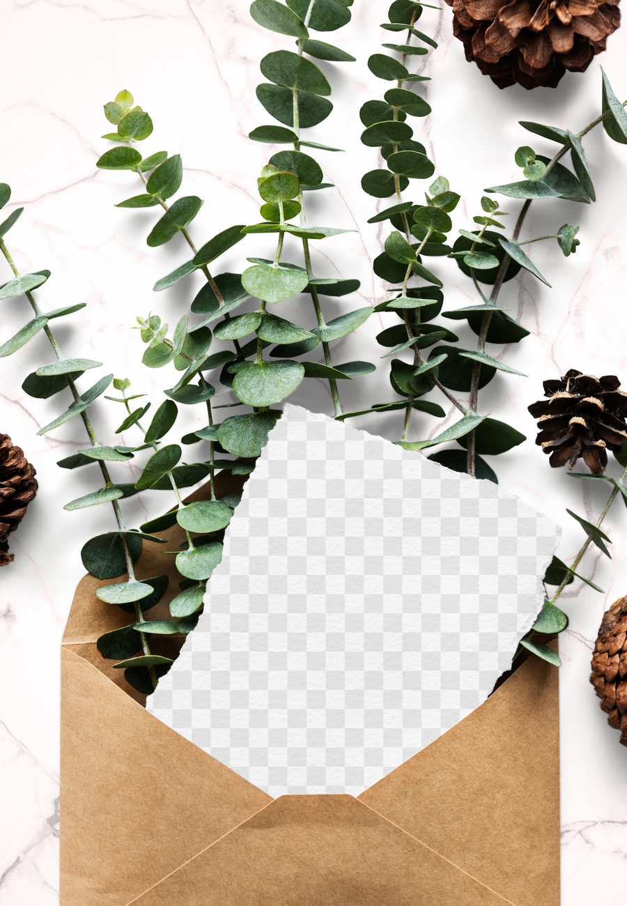 Eucalyptus PNG Images | Free PNG Vector Graphics, Effects & Backgrounds