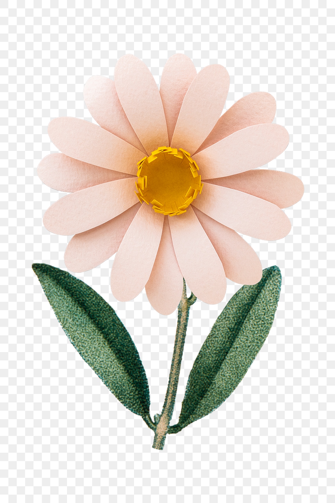 Pink Flower Design Element Transparent 