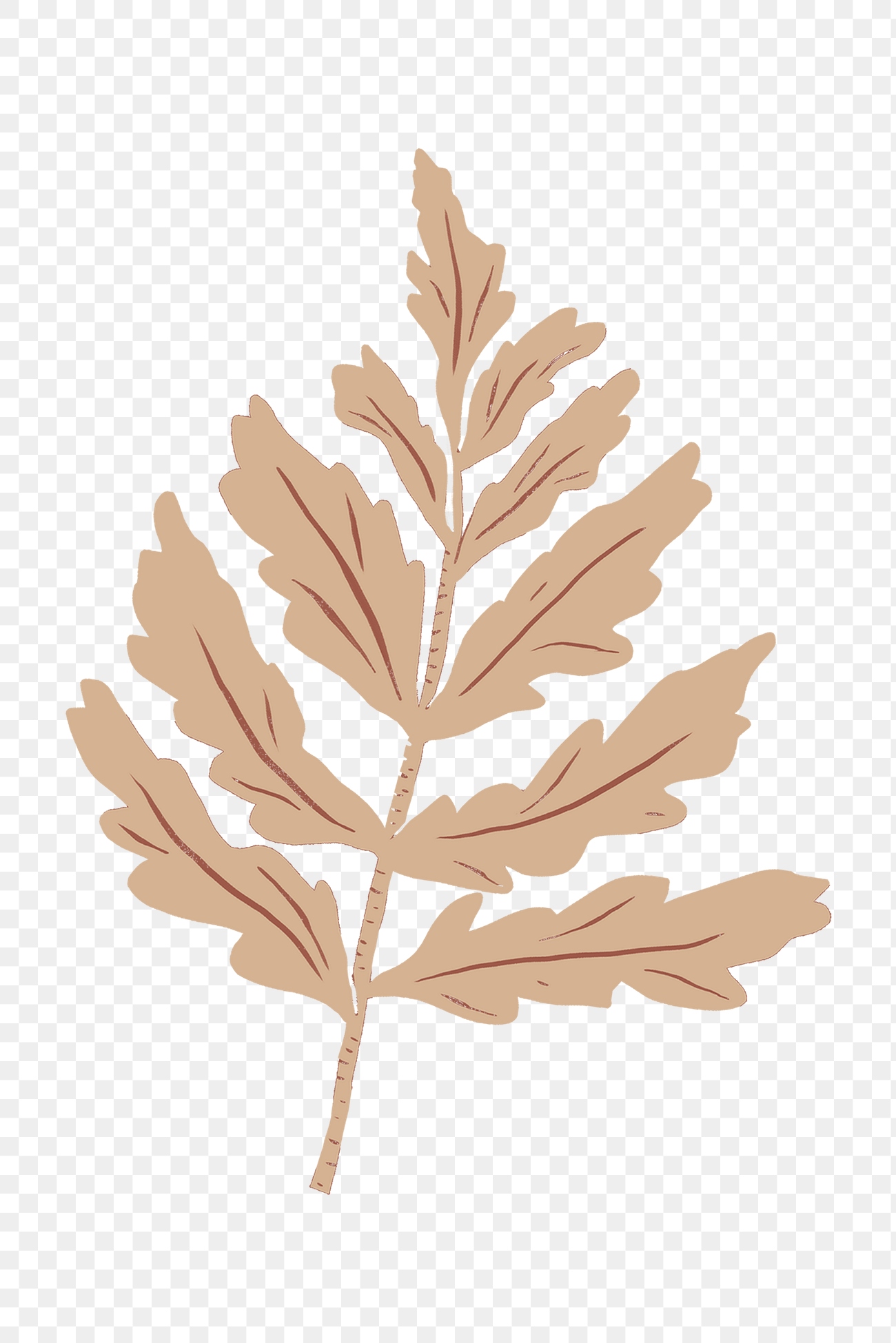 Free royalty image about Retro beige leaves png plant sticker linocut