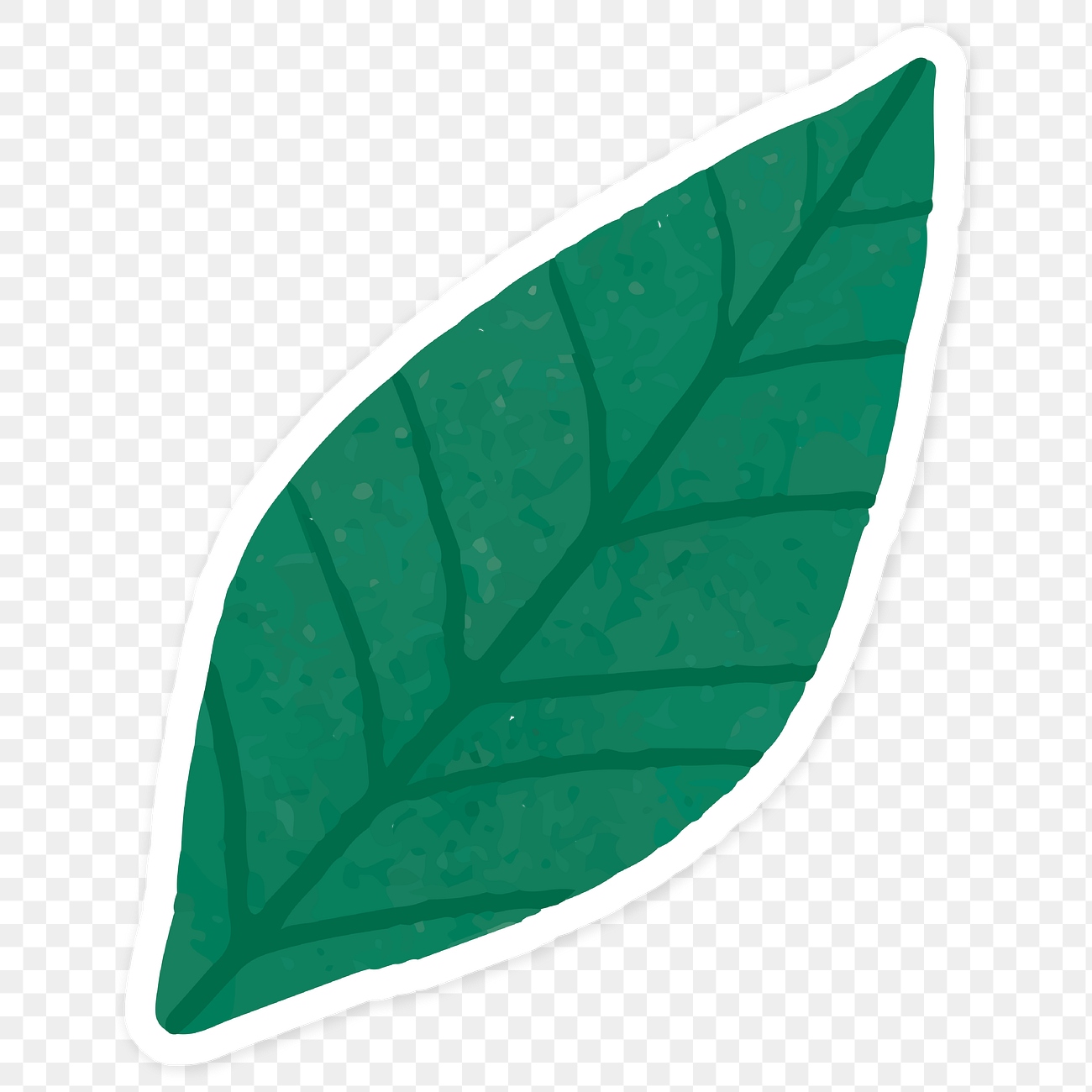 Green leaf sticker png