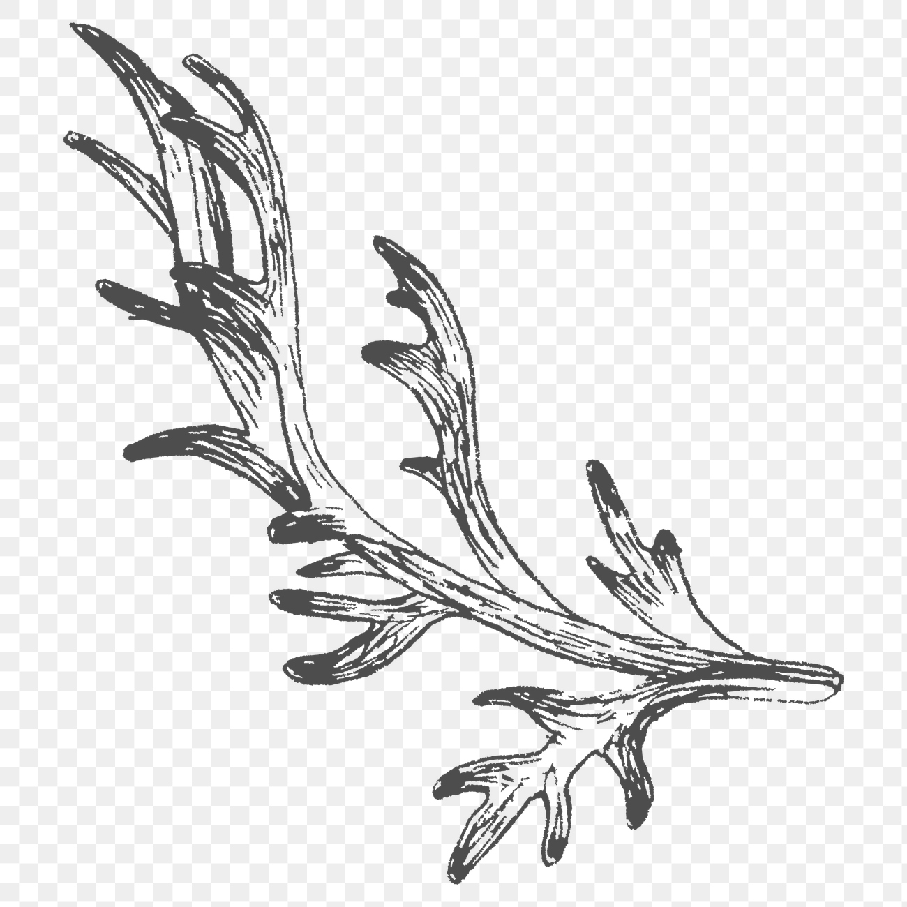 Hand drawn leaf branch | Free PNG Sticker - rawpixel