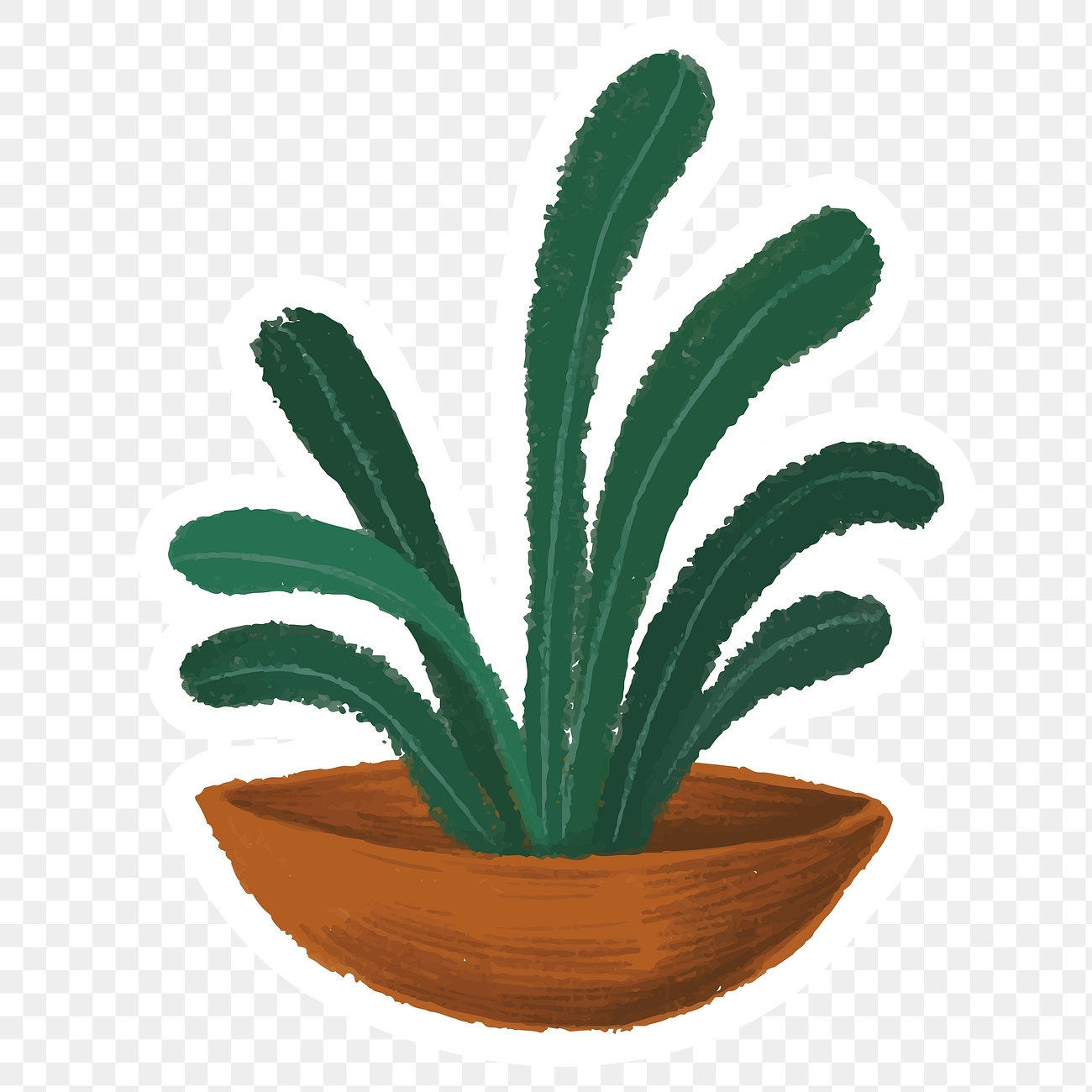 Plant illustration png
