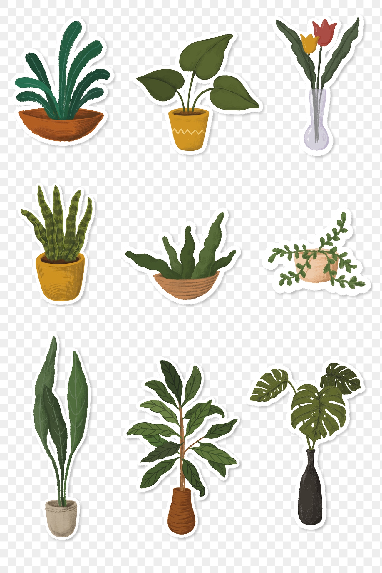 Plant illustration png | Free stock illustration | High Resolution graphic