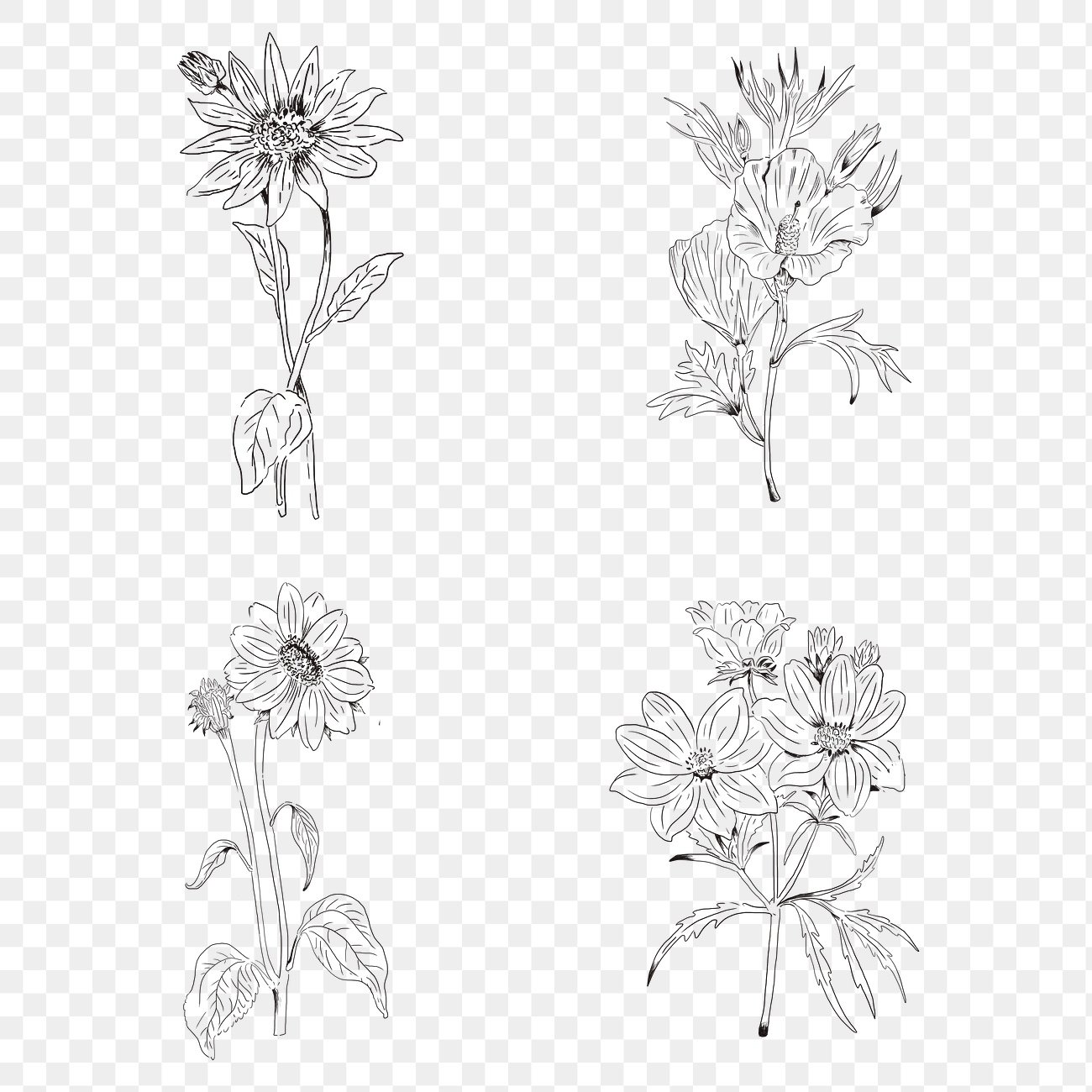 Various flower doodles set png