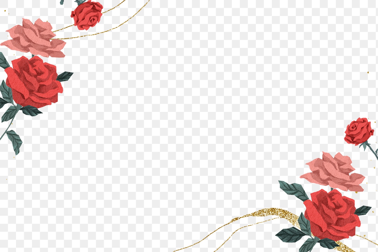 Red roses Valentine’s border png with… | Free stock illustration | High