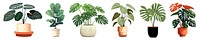 Indoor plant aesthetic vector illustration png element set on transparent background