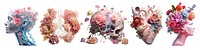 3D anatomy with flowers png element set on transparent background