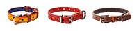 Dog collar png element set on transparent background