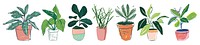 Houseplant png element set on transparent background