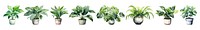 PNG Houseplant watercolor set, transparent background