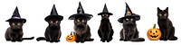  Halloween costume pet  png cut out element set, transparent background