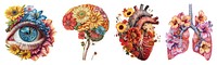 Flower organs collage ephemera png cut out element set, transparent background