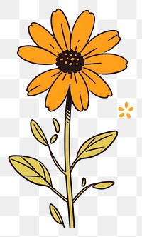PNG Black-eyed Susan flower asteraceae sunflower graphics.