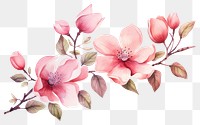 PNG Illustration of pink flowers art blossom plant.