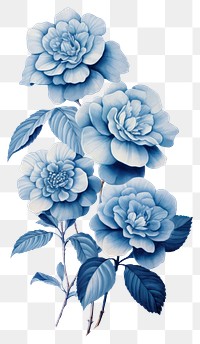 PNG Blue camellia graphics blossom pattern 