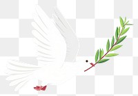 PNG White Dove carrying olive leaf dove animal pigeon 