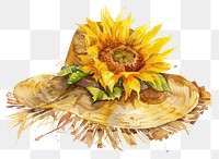 PNG Sunflower hat art clothing.