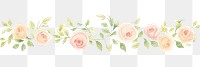 PNG Roses as divider line watercolour illustration graphics pattern blossom.