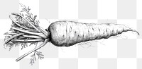 PNG Carrot drawing illustrated vegetable.
