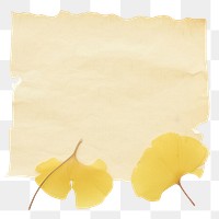 PNG Ginkgo ripped paper text blossom flower.
