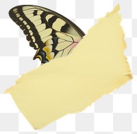 PNG Birdwing butterfly ripped paper invertebrate clothing apparel.