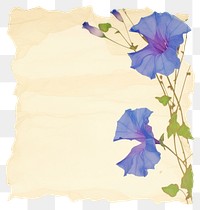 PNG Morning glory ripped paper blossom wedding flower.
