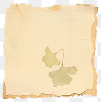 PNG Ginkgo ripped paper text diaper plant.
