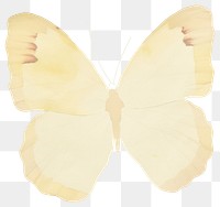 PNG Japanese butterfly ripped paper invertebrate animal insect.