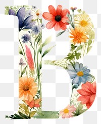 PNG Floral inside alphabet B flower number plant