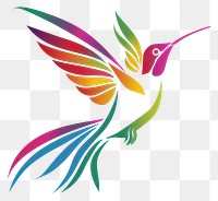 PNG Abstract colorful hummingbird art graphics pattern.