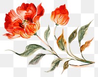 PNG Flower painting pattern plant.