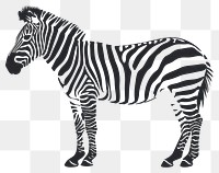PNG Zebra zebra wildlife stencil.