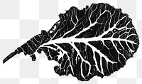 PNG Swiss chard vegetable clothing stencil.