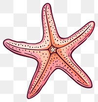 PNG Starfish invertebrate appliance animal.