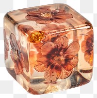 PNG Real photo element of *flower resin dice shaped*, made with flower resin style, flower inside resin element, no object around element, isolated on white clear background --ar 1:1 --v 6.0