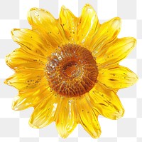 PNG Real photo element of *flower resin sunflower shaped*, made with flower resin style, flower inside resin element, no object around element, isolated on white clear background --ar 1:1 --v 6.0
