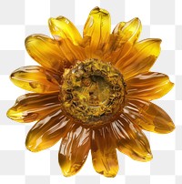 PNG Flower resin sunflower shaped accessories asteraceae accessory.